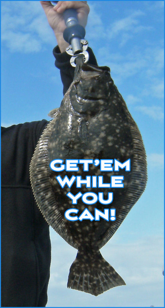 NX Fishing Charters NX Fishing Charters • Topsail - Wrightsville - Carolina Beaches